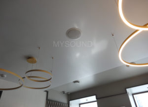 Купить CVGaudio CRX6T с монтажом