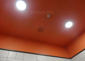 Фоновое озвучивание. CVGaudio CPA6TW потолочная акустическая система - продажа и монтаж