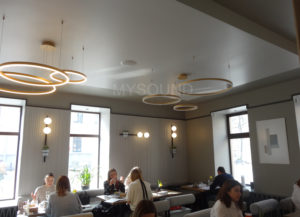 Купить колонки для фонового звука CVGaudio CRX6T