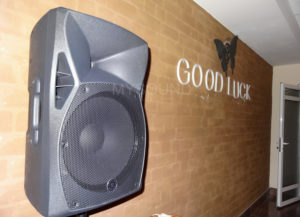 Звуковое оснащение. Колонки Topp Pro в каталоге май саунд