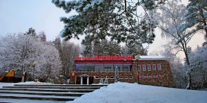 Караоке в кафе «Партизанский бор»