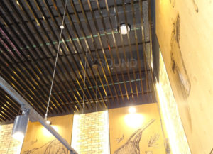 купить CVGaudio CS416TBL для фоновой музыки