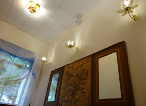 Фоновое озвучивание Дворца бракосочетаний описание проекат