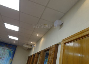 ЗАГС - трансляционные колонки Audac WX302/W