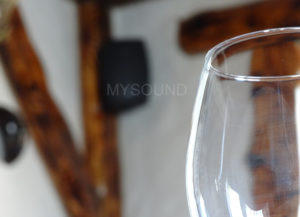 Трансляционные акустические системы для ресторана фото