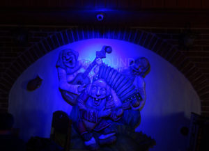 Оснащение кафе - Декоративная подсветка в помещении