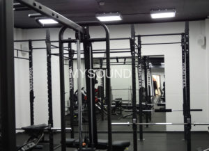 Трансляционные акустические системы фото