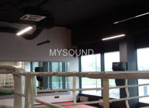 Акустические системы в спортивном зале фото проекта май саунд
