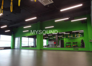 Зал для фитнеса - звуковая аппаратура описание и фото