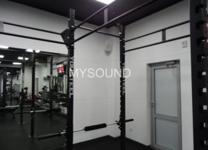 Трансляционные колонки для фитнес-клуба