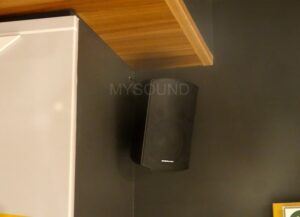 Фоновый звук в БУТБ - акустическая система CVGaudio RF516TBL