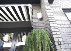 Настенные громкоговорители CVGaudio OSR508TW - фото и описание акустических систем для фонового звука