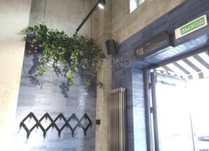 Фото и описание проекта по оснащению магазина трансляционным оборудованием