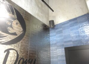 Настенные громкоговорители в магазине - фото и описание