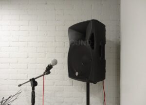 Система звукоусиления с доставкой и подключением