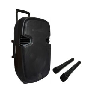HL Audio SKA15T