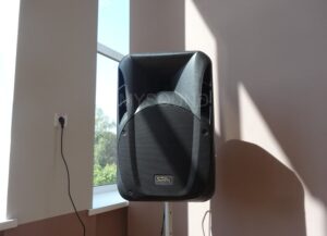 Комплект звука для Козловщинской средней школы - акустическая система двухполосная