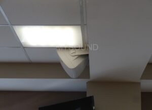 Звук для конференций и праздников в кадастровом агентстве