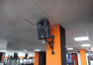 Озвучивание тренажёрного зала - колонки для тренировок