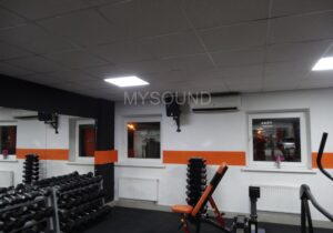 Озвучивание тренажёрного зала - Topp Pro X8a в проекте май саунд