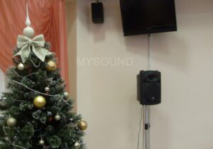 Комплект звука для конференц-зала поликлиники - аппаратура к праздникам и мероприятиям