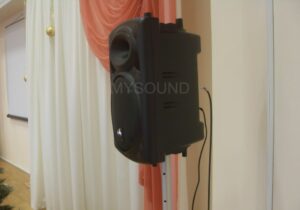 Комплект звука для конференц-зала поликлиники - купить акустическую систему в Минске с установкой и доставкой