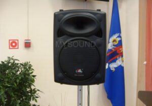 - акустическая система 10 дюймовКомплект звука для конференц-зала поликлиники