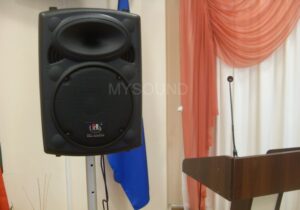 Комплект звука для конференц-зала поликлиники - фото акустической системы 10 дюймов