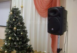 Комплект звука для конференц-зала поликлиники - колонка к прадзникам