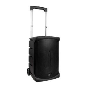 PS-SOUND PL-210BT портативная активная акустическая система с 2 ручными радиомикрофонами